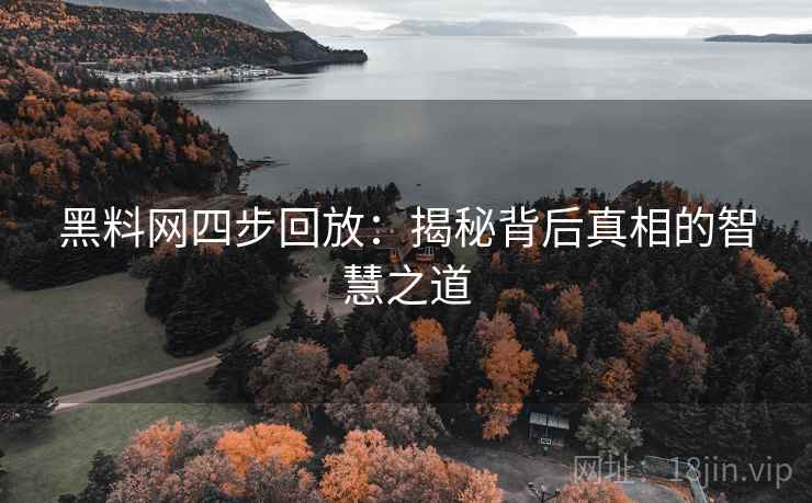 黑料网四步回放：揭秘背后真相的智慧之道