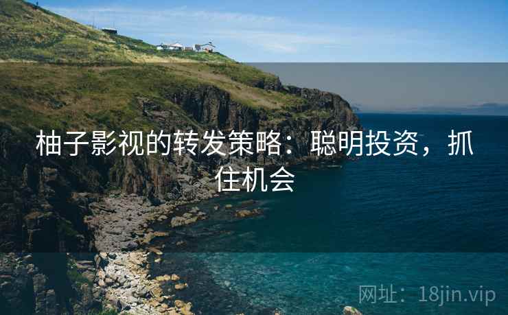 柚子影视的转发策略:聪明投资,抓住机会 柚子影视的转发策略:聪明投资,抓住机会