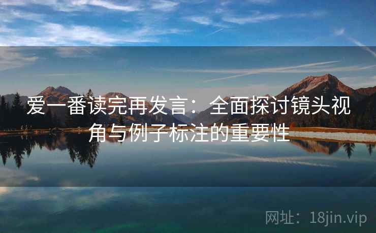 爱一番读完再发言:全面探讨镜头视角与例子标注的重要性 爱一番读完再发言:全面探讨镜头视角与例子标注的重要性