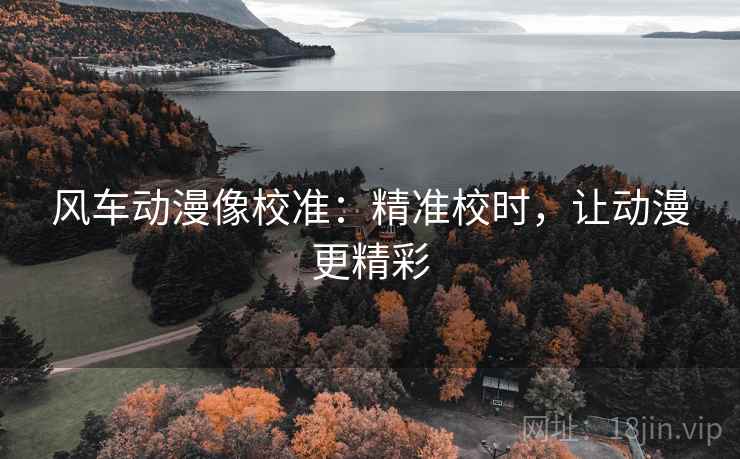 风车动漫像校准：精准校时，让动漫更精彩