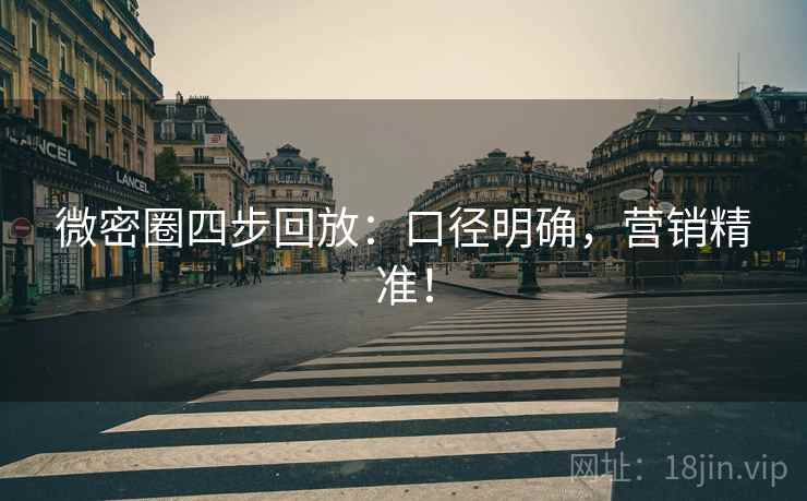 微密圈四步回放：口径明确，营销精准！